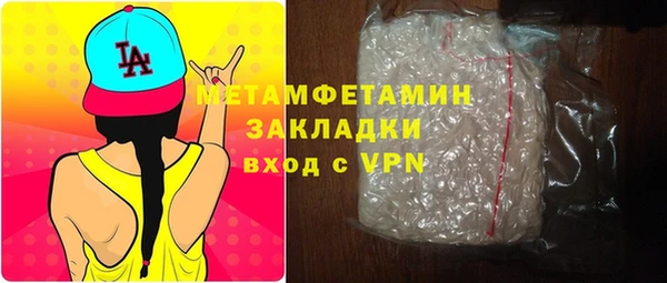 прущие грибы Горнозаводск