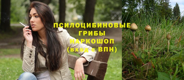мет Горно-Алтайск