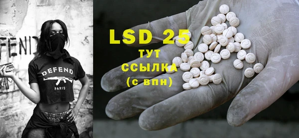 прущие грибы Горнозаводск
