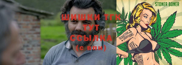 прущие грибы Горнозаводск