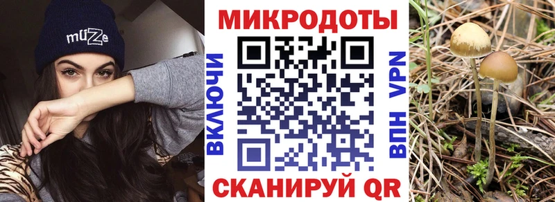 Купить  Нефтекумск  Галлюциногенные грибы Magic Shrooms 